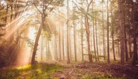 Zeus上单雷克塞符文装备与BP策略全解析：征服者雷克塞玩法精髓